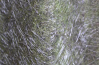 Bordley fibreglass roof work